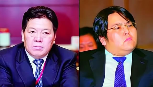 山西首富李兆会怎么了 山西首富李兆会犯什么罪 山西首富李兆会怎么了 山西首富李兆会犯什么罪