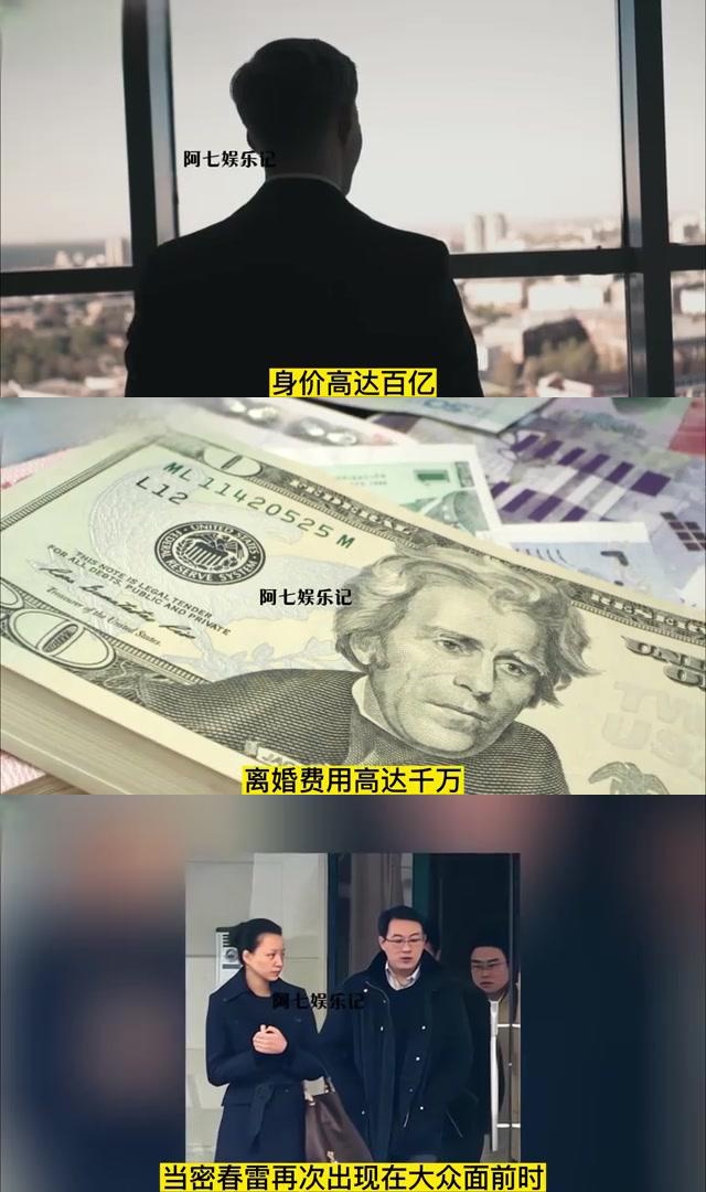 董卿丈夫密春雷被强制执行超7亿 董卿的老公密春雷是干什么的 董卿丈夫密春雷被强制执行超7亿 董卿的老公密春雷是干什么的