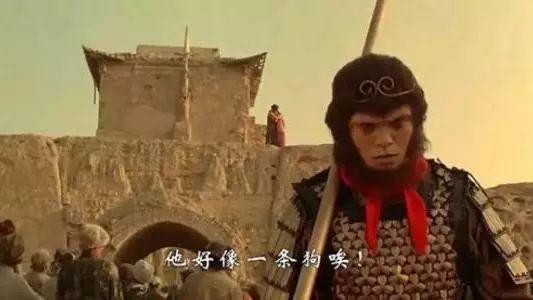 柴静周星驰 柴静周星驰采访想哭 柴静周星驰 柴静周星驰采访想哭