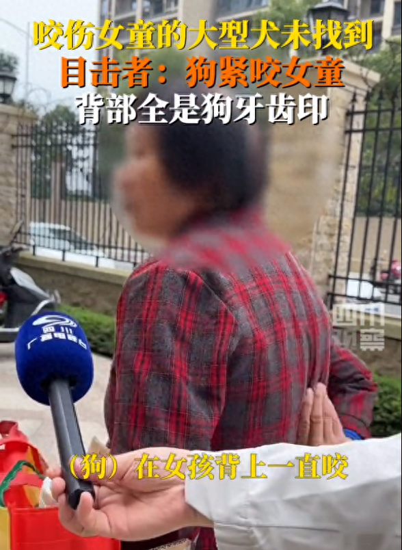 王新刚狗咬人安阳市 安阳工商局王新刚狗咬人 王新刚狗咬人安阳市 安阳工商局王新刚狗咬人