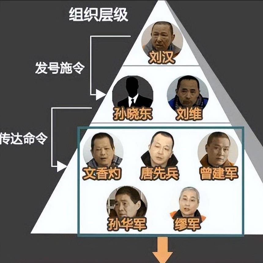 跟刘汉30万过夜的是谁的简单介绍