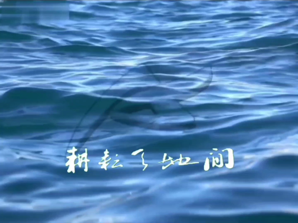田亮水花最大的一次入水 田亮水花最大的一次跳水 田亮水花最大的一次入水 田亮水花最大的一次跳水