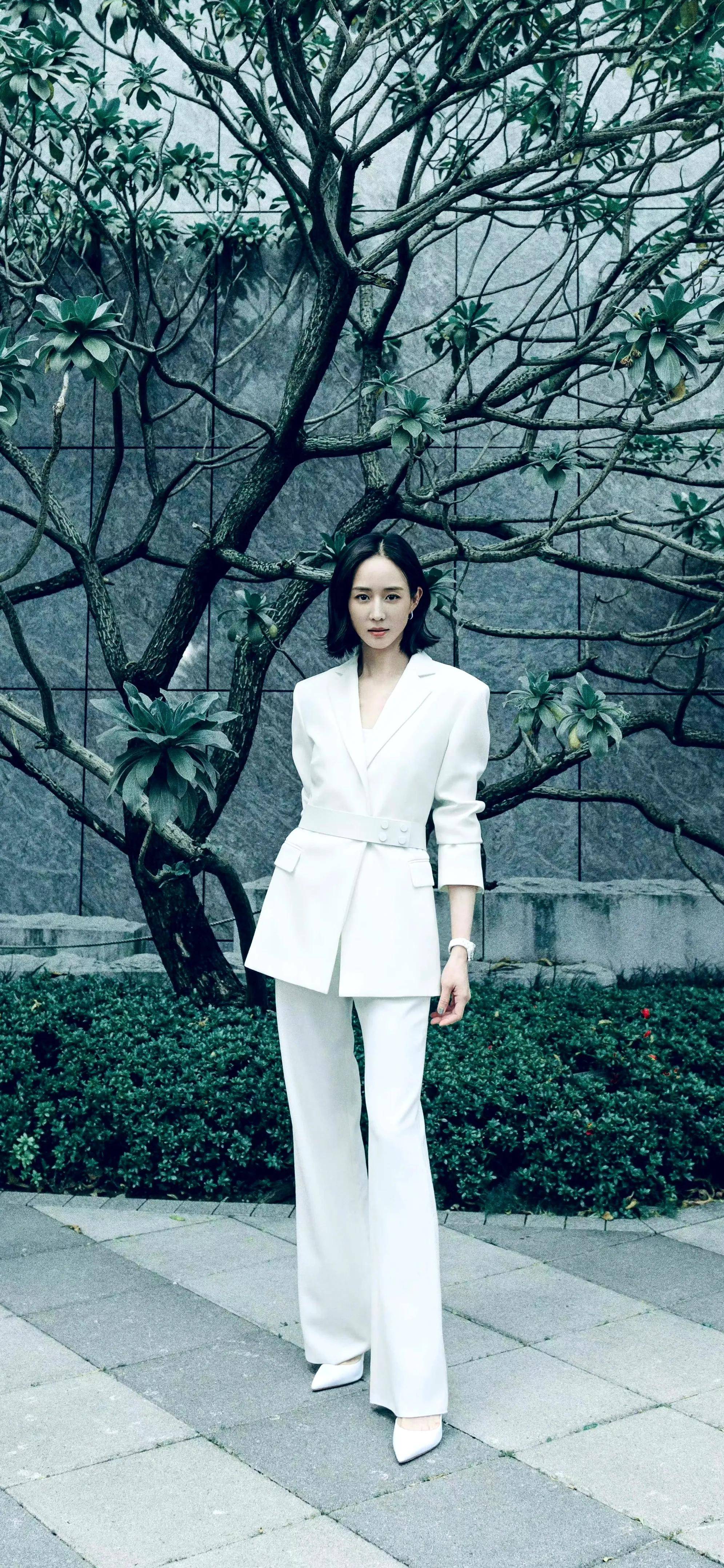 张钧宁 张钧甯为什么读mi 张钧宁 张钧甯为什么读mi