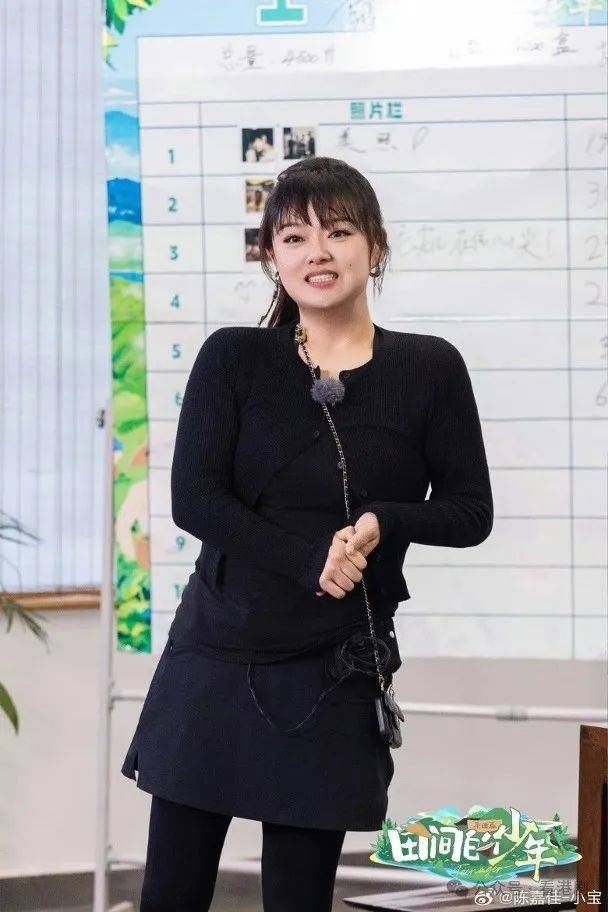 陈嘉新妻子 陈嘉怎么样了 陈嘉新妻子 陈嘉怎么样了