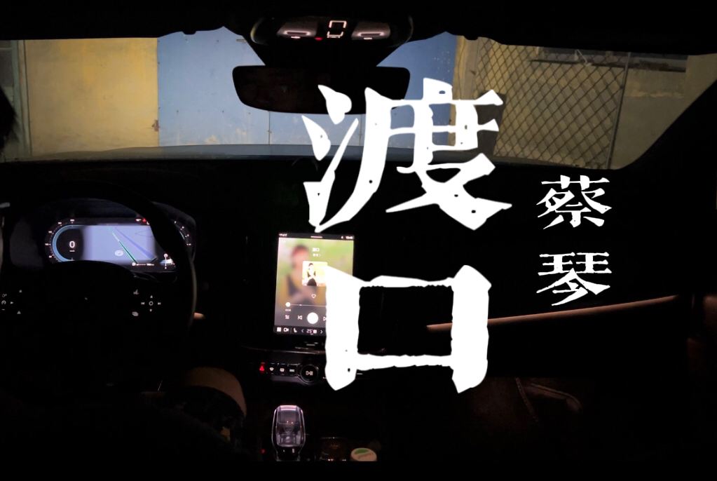 蔡琴渡口 蔡琴渡口无损免费下载