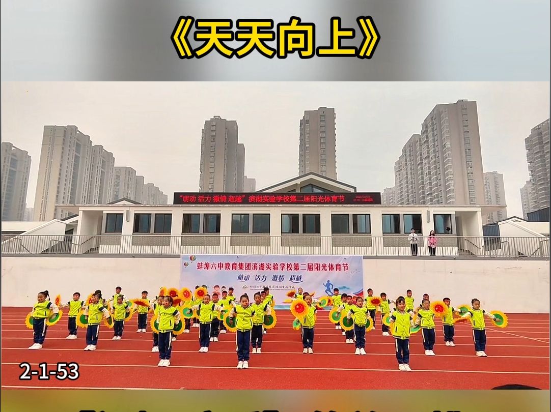 天天向上20081205 天天向上20081205在线播放