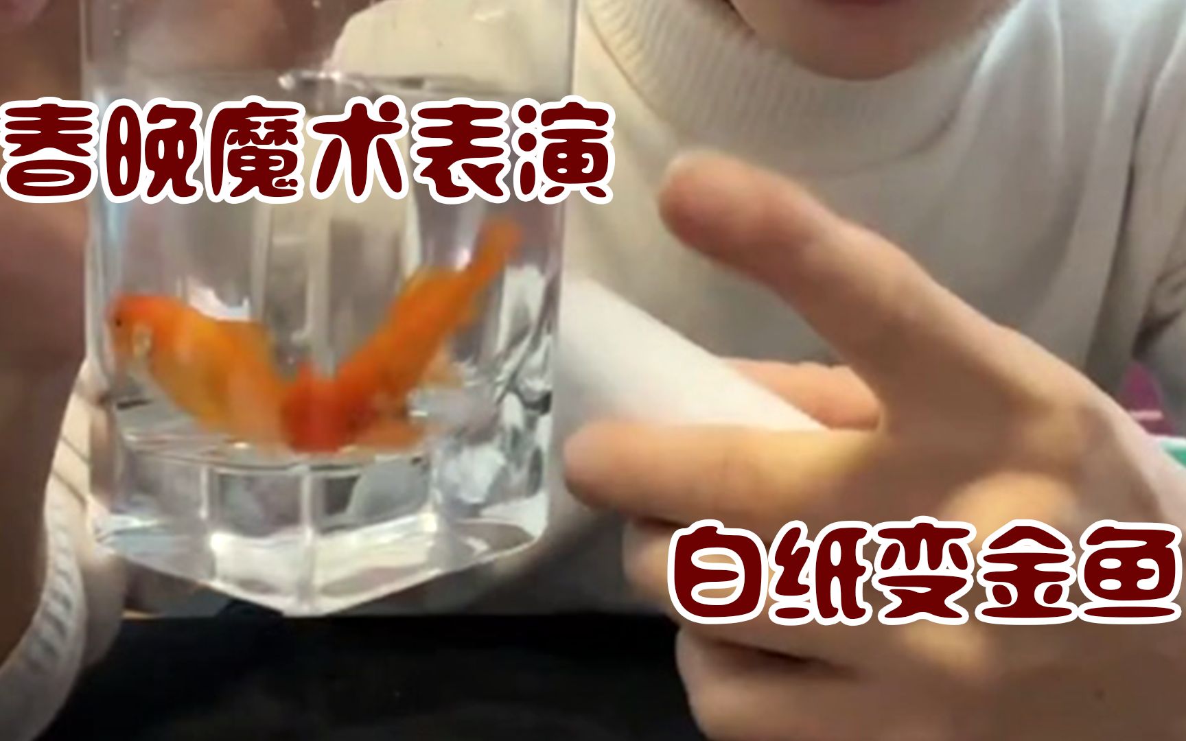 春晚金鱼魔术 春晚变魔术金鱼的人是谁