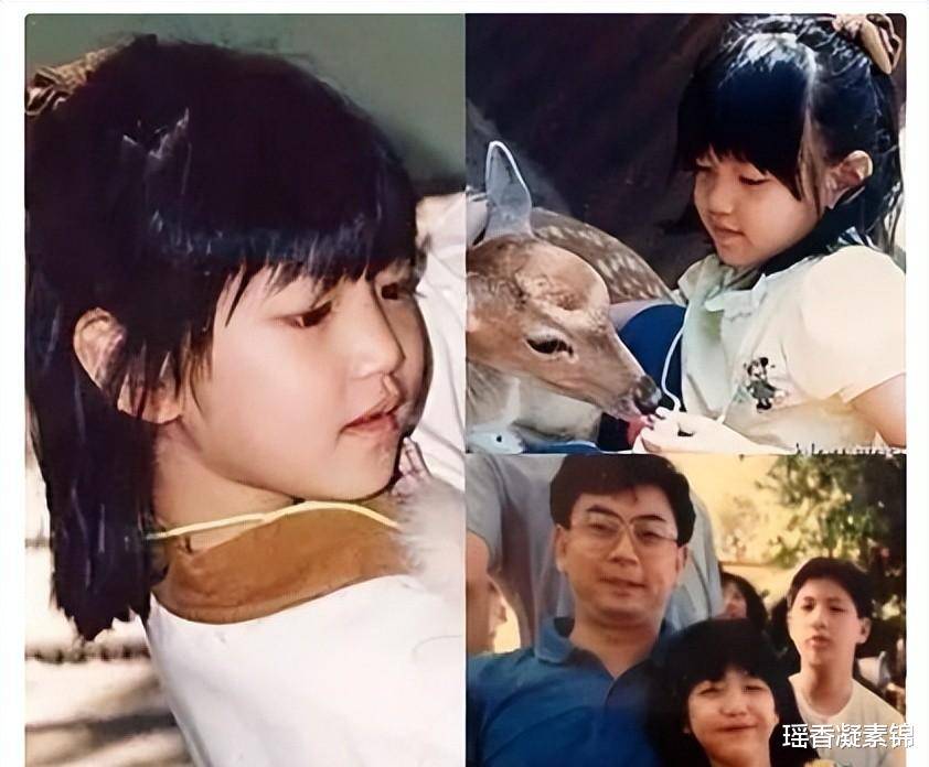 杨子珊陈妍希 杨子姗陈晓演的电视剧 杨子珊陈妍希 杨子姗陈晓演的电视剧