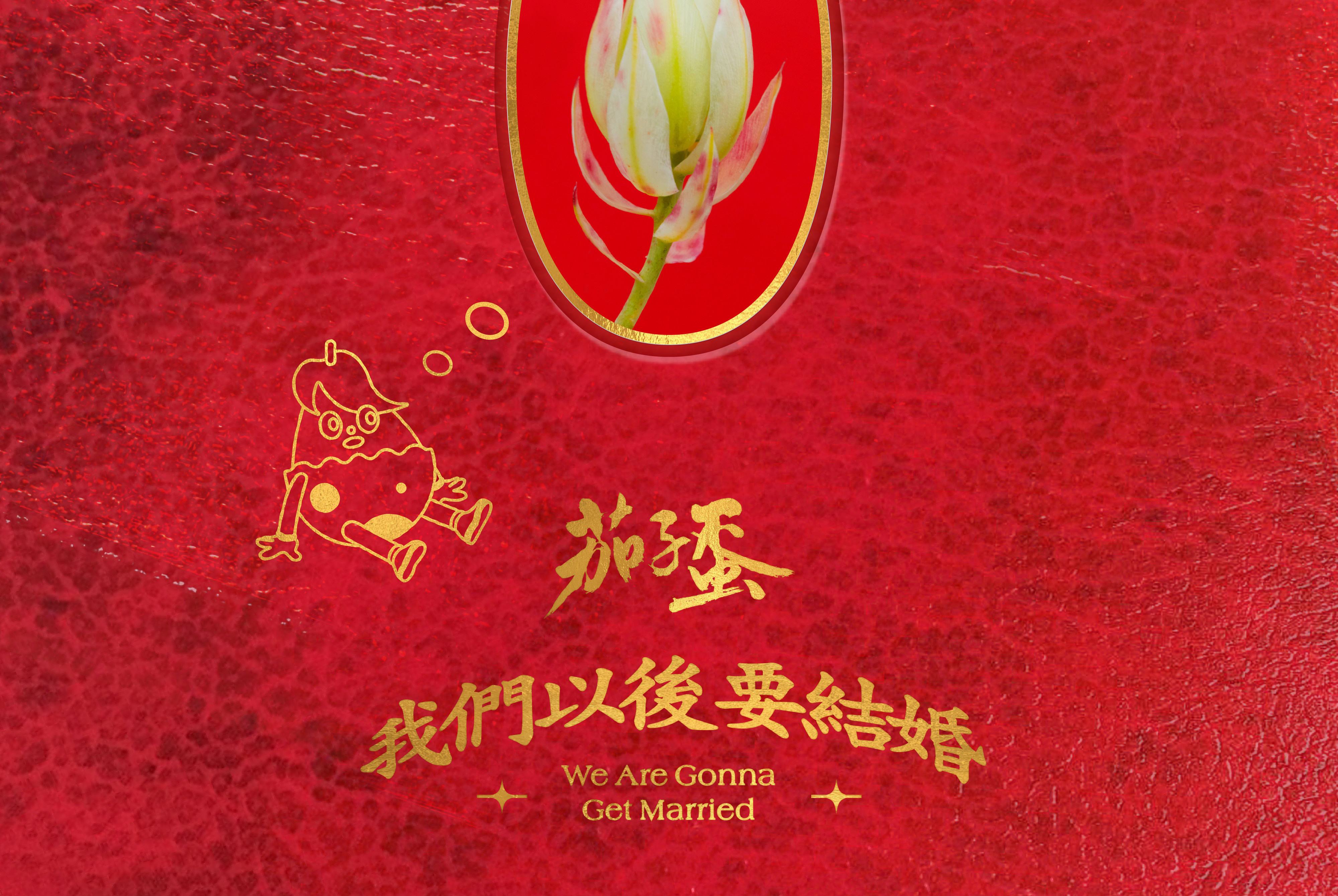 我们结婚了101204 我们结婚了英文
