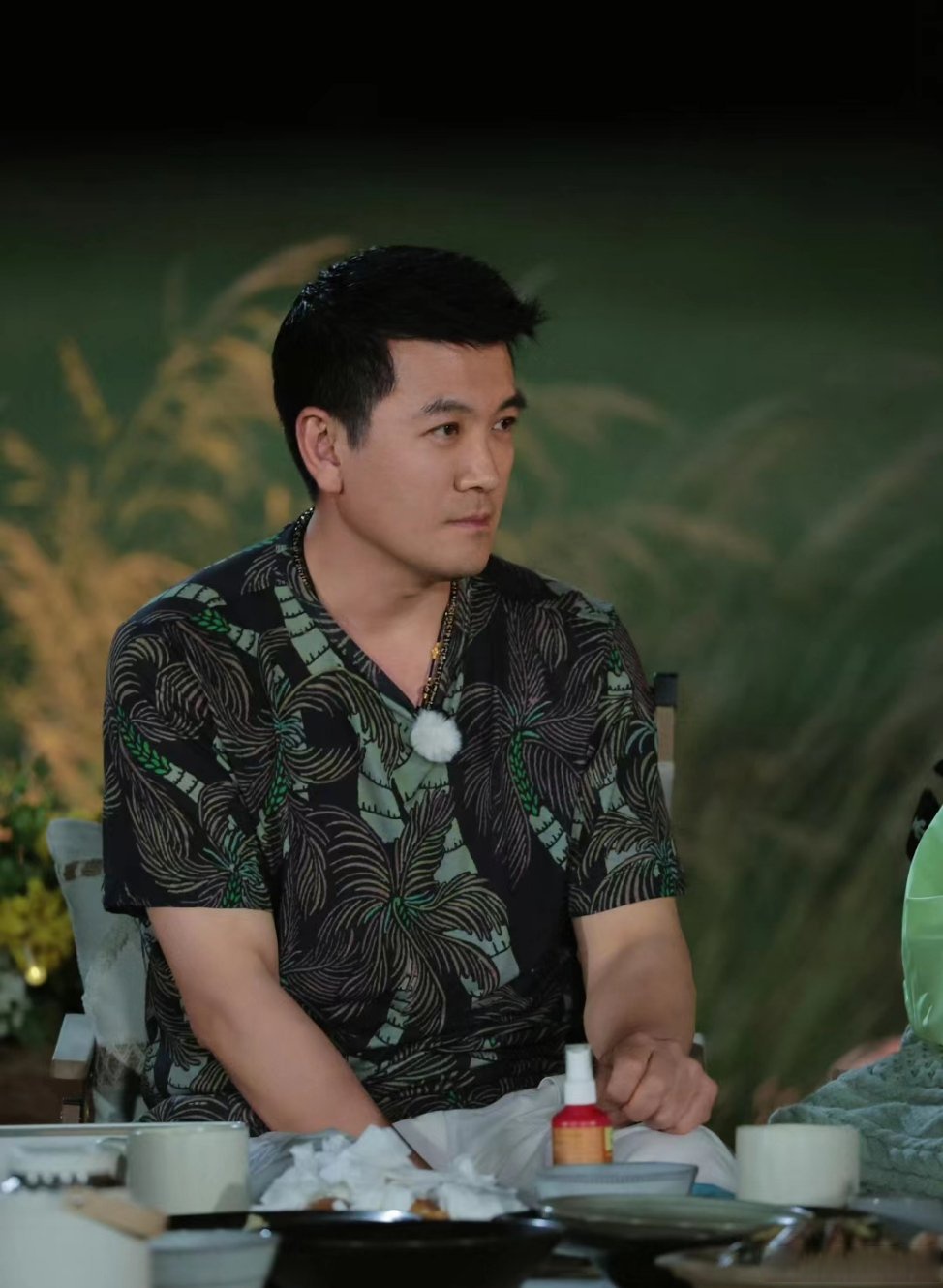 扬子是谁 扬子的出身 扬子是谁 扬子的出身
