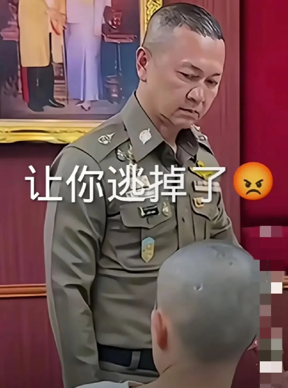 文颐报歉 文颐是谁 文颐报歉 文颐是谁