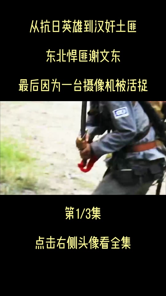 谢文东是谁 谢文东是什么小说 谢文东是谁 谢文东是什么小说