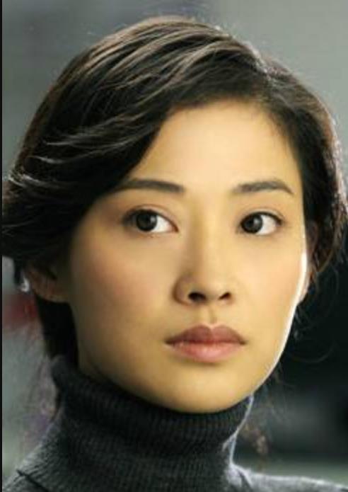 新结婚时代演员表 新结婚时代剧情分集介绍