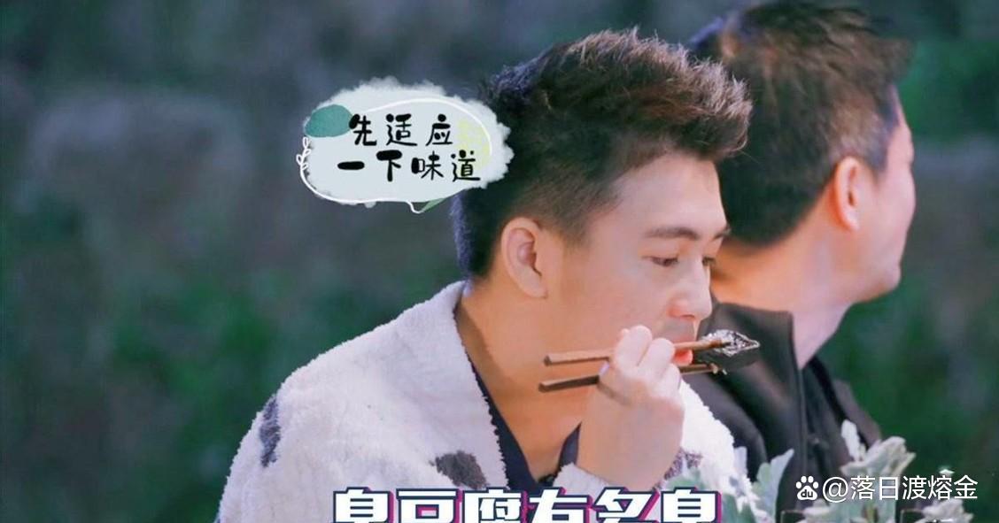 最强大脑何猷君 何猷君最强大脑名次