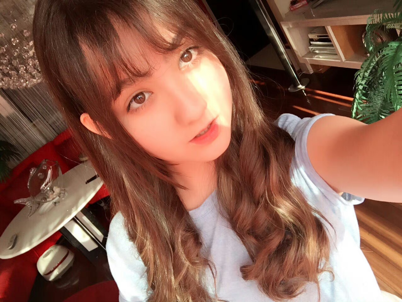 香奈儿辛普森 香奈儿辛普森是混血吗
